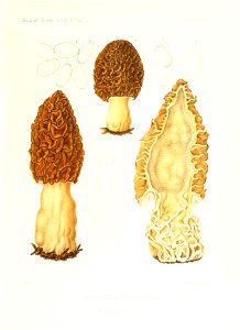 n46_w1150