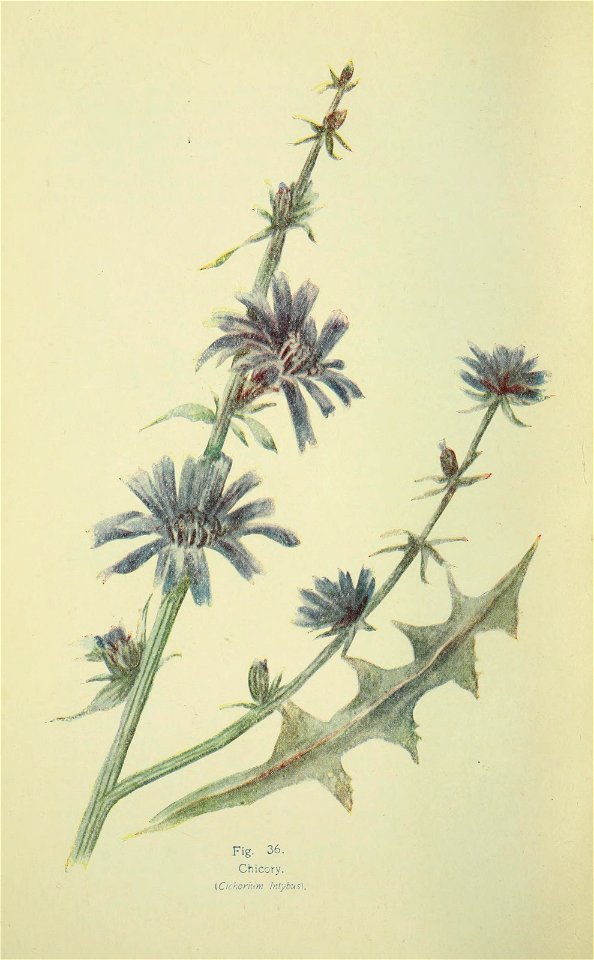 n409_w1150