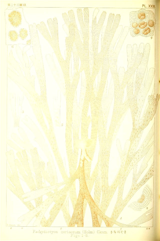 n159_w1150
