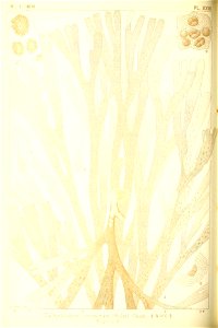 n159_w1150