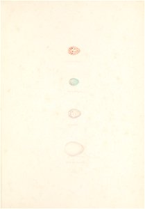 n208_w1150