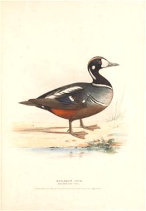 n58_w1150