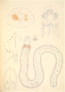n302_w1150