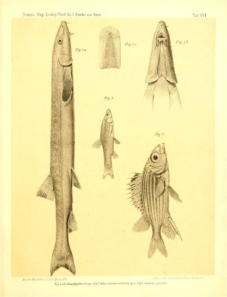 n474_w1150