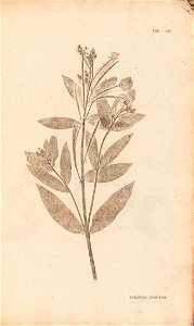 n396_w1150