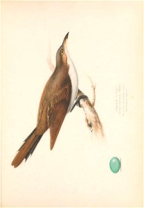 n120_w1150