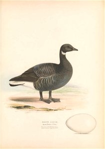 n152_w1150