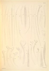 n114_w1150