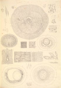 n156_w1150