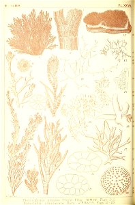 n187_w1150