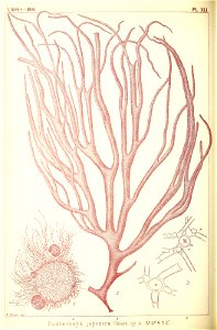 n299_w1150
