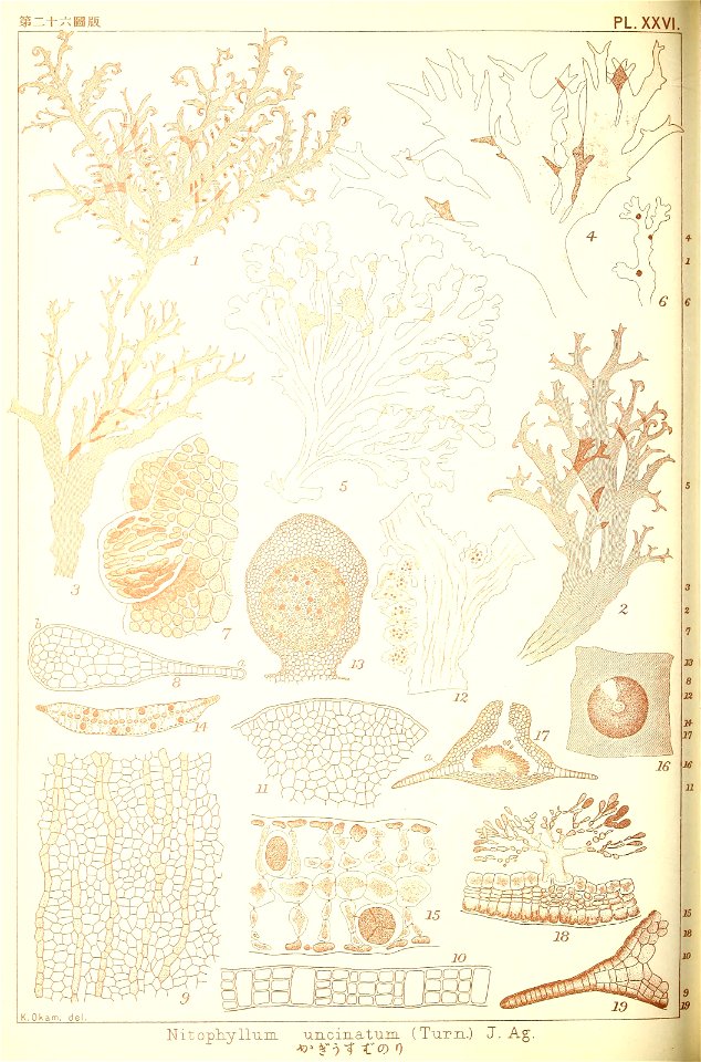 n181_w1150