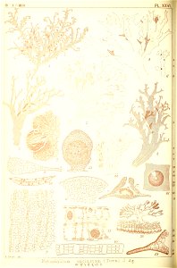 n181_w1150