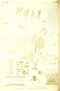n175_w1150