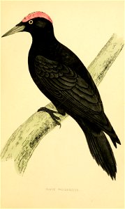 n120_w1150