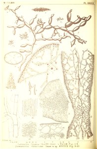 n273_w1150