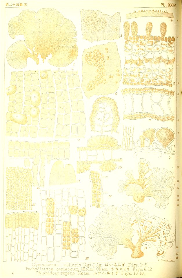 n161_w1150