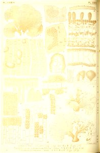n161_w1150
