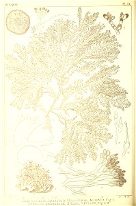 n63_w1150