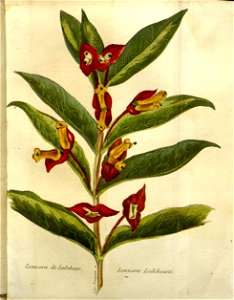 n589_w1150
