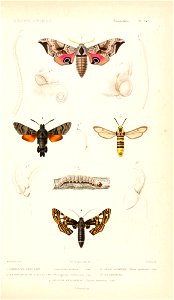n122_w1150