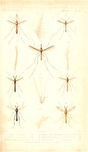 n182_w1150