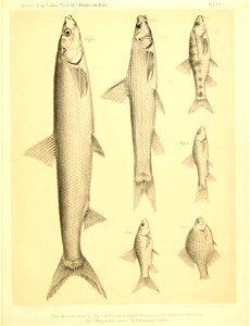 n472_w1150