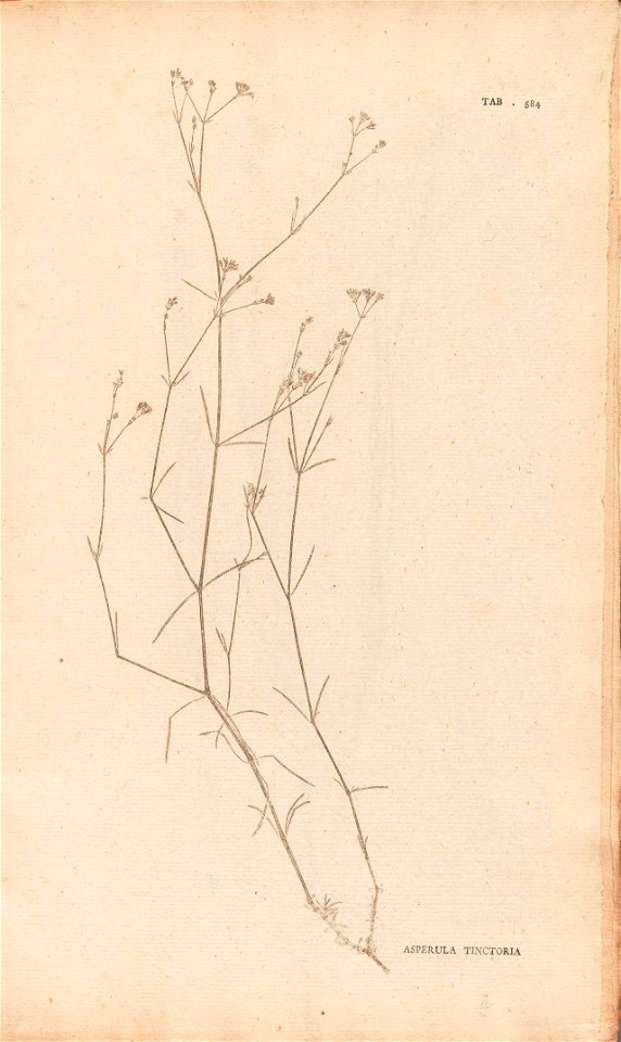 n392_w1150