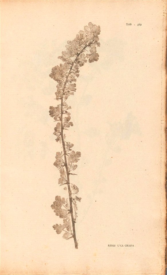 n362_w1150