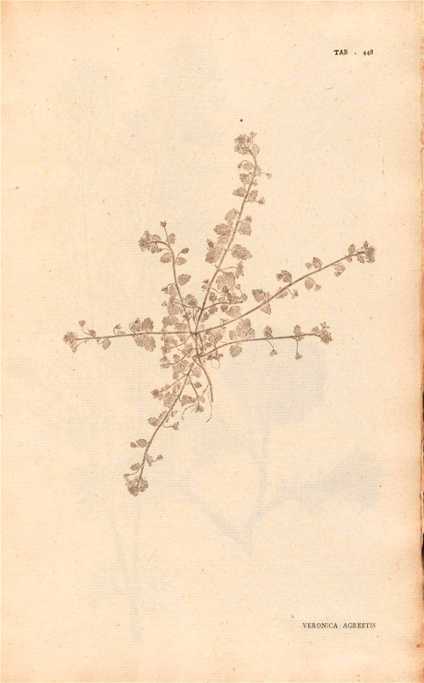 n114_w1150