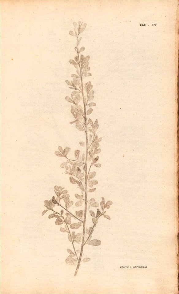 n172_w1150