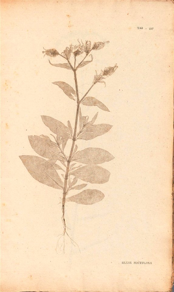 n418_w1150