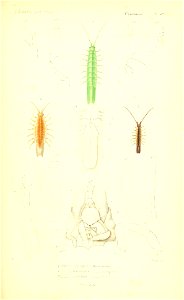 n308_w1150