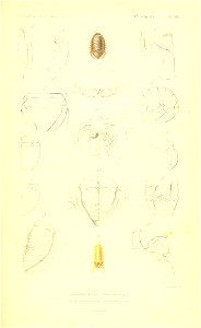 n304_w1150