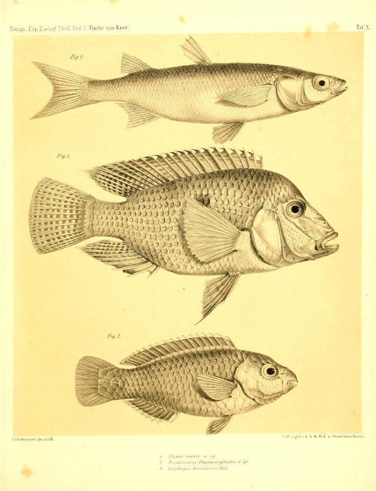 n462_w1150