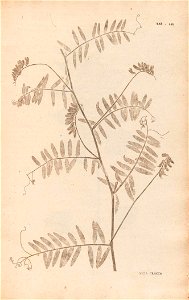 n106_w1150