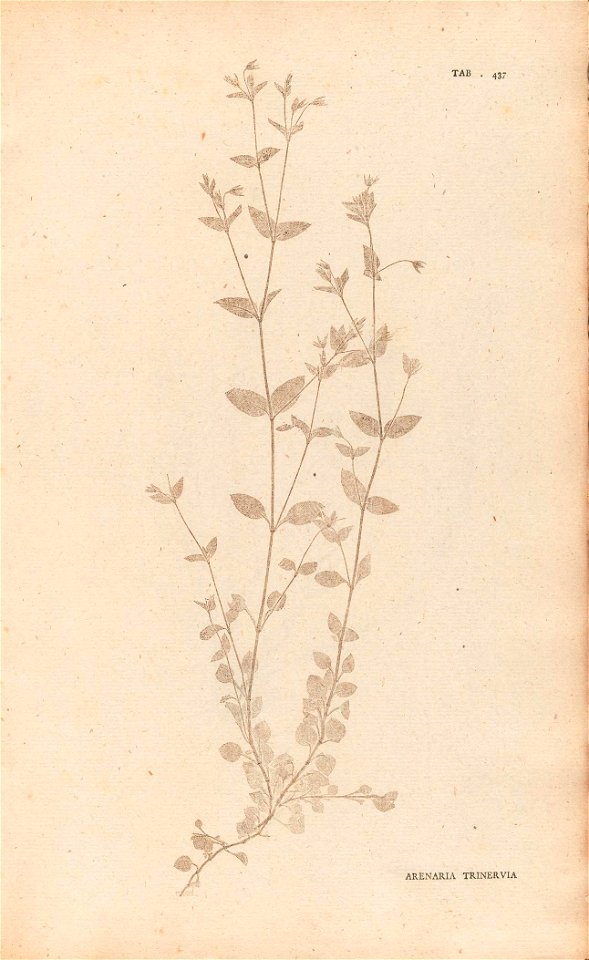 n92_w1150