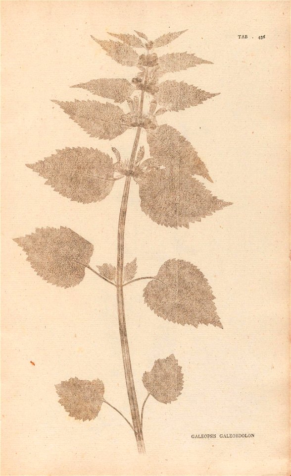 n90_w1150