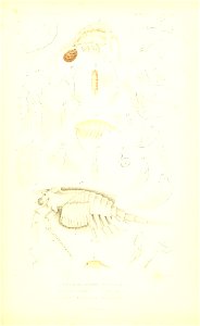 n328_w1150