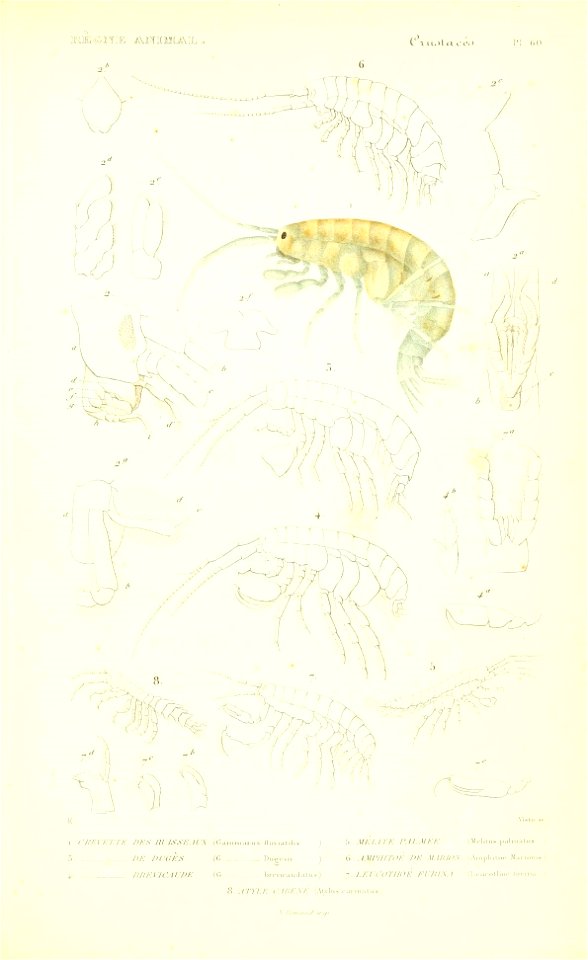 n268_w1150