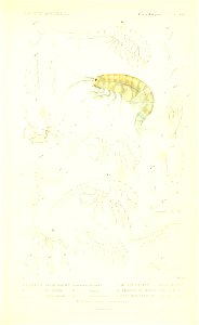 n268_w1150