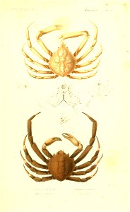 n148_w1150