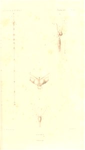 n28_w1150