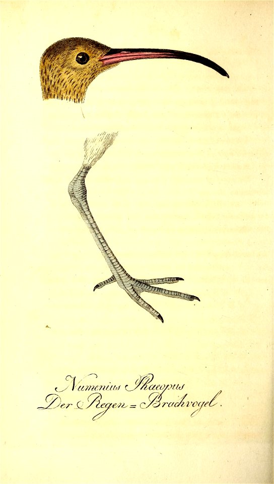 n501_w1150