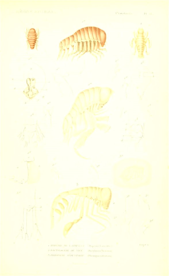 n260_w1150