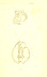 n18_w1150