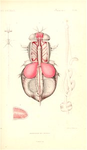 n178_w1150