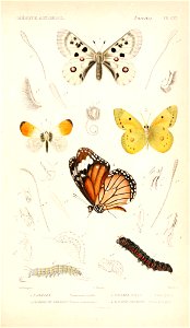 n58_w1150