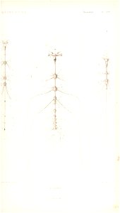 n24_w1150