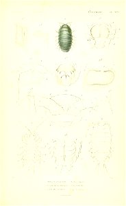 n316_w1150